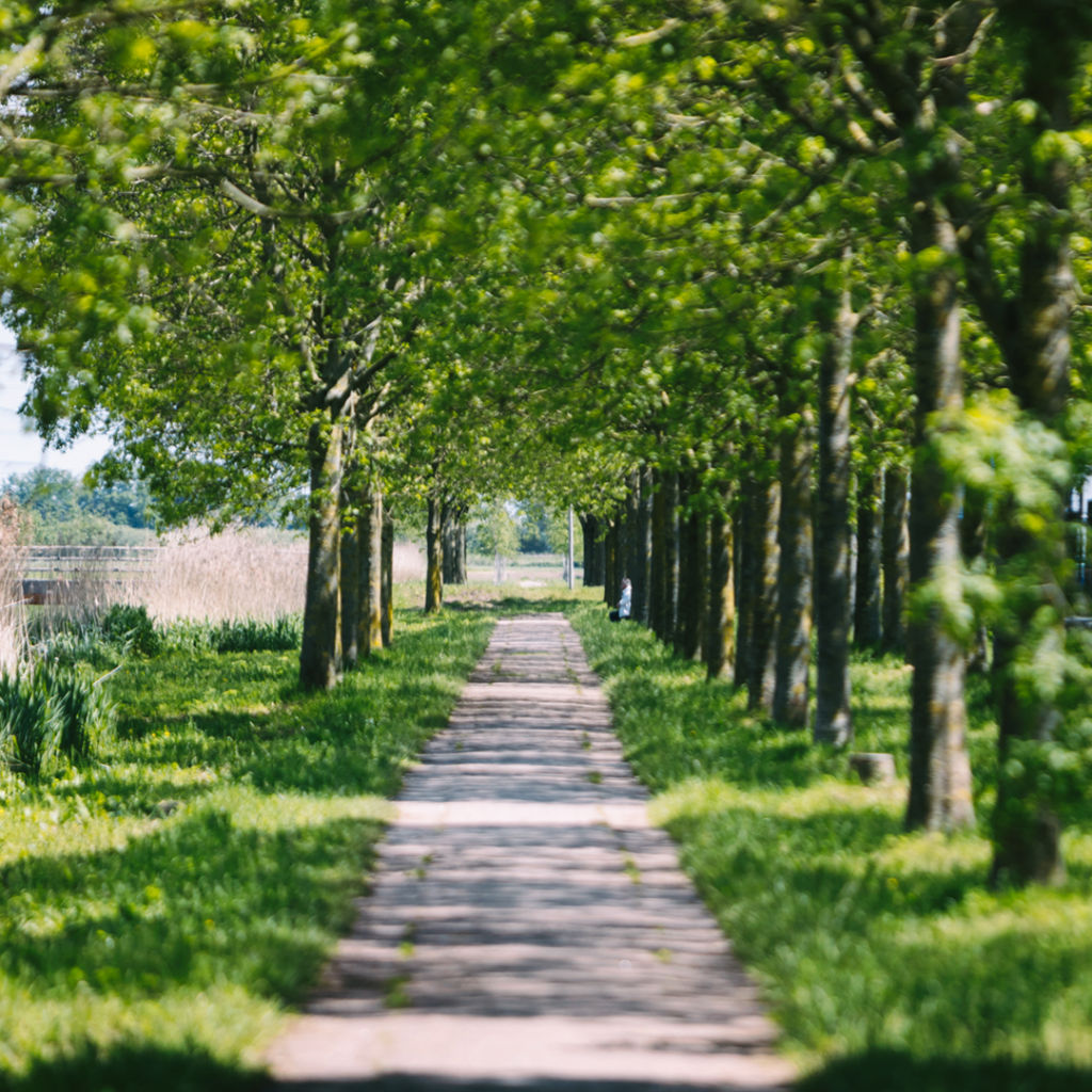 Hessenpoort-Groen